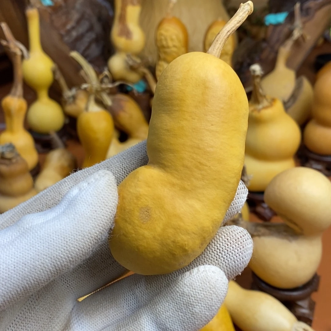 璞***緣啦啦教练咯教练教练