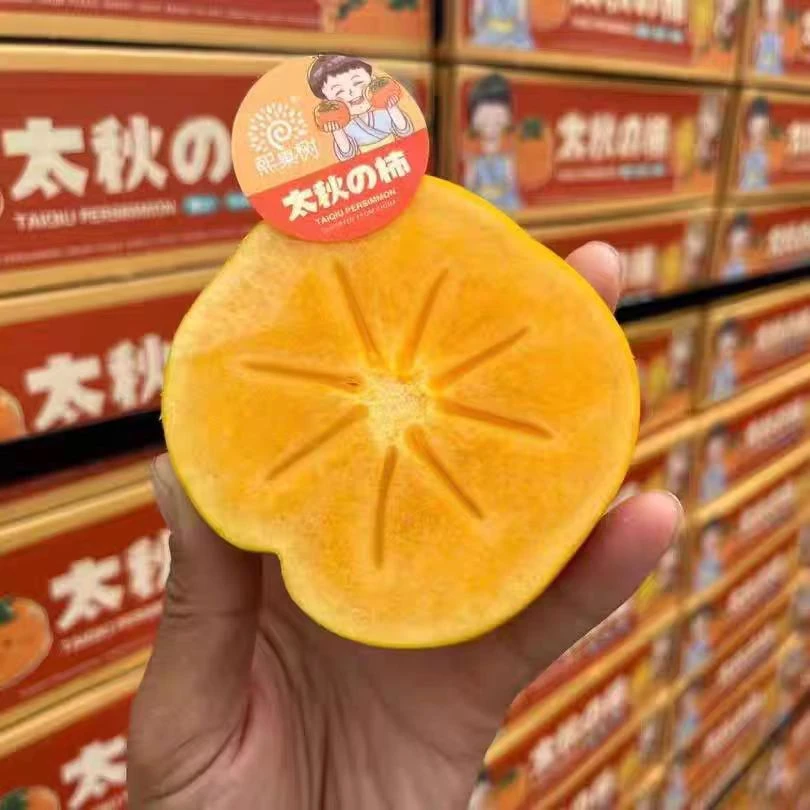 太秋甜柿脆柿子脆甜可口皮薄肉厚新鲜水果浙江省
