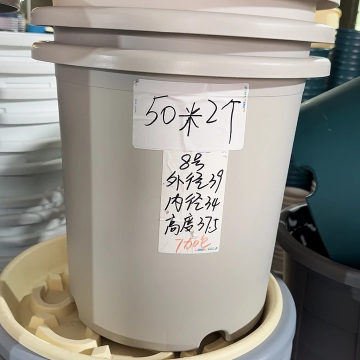 微瑕8#灰白3个无托