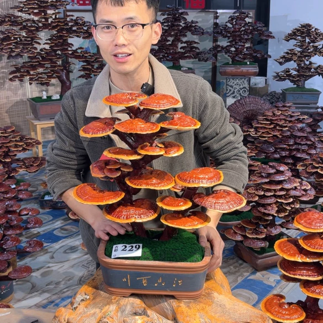 【闪购商品】888888