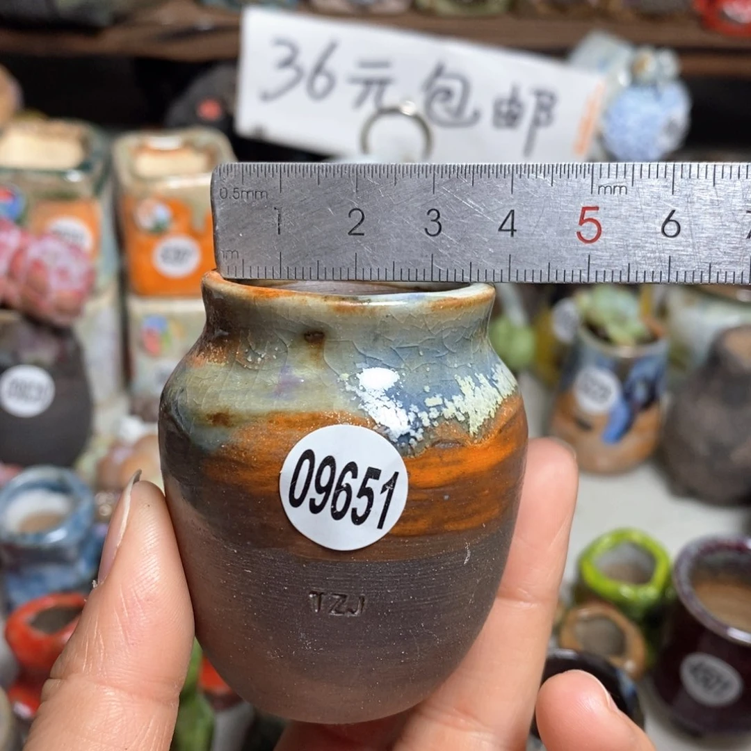 花盆拍5送一个小礼物