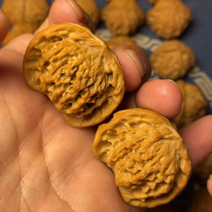 全品公子帽异形38尺寸