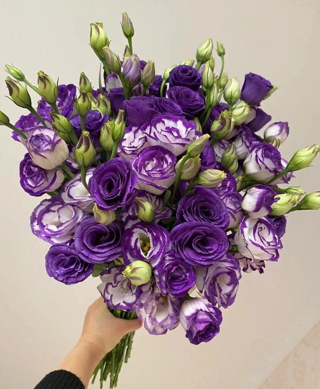 紫色洋桔梗混发鲜花云南现摘花束客厅高档摆设家用插花礼物花束