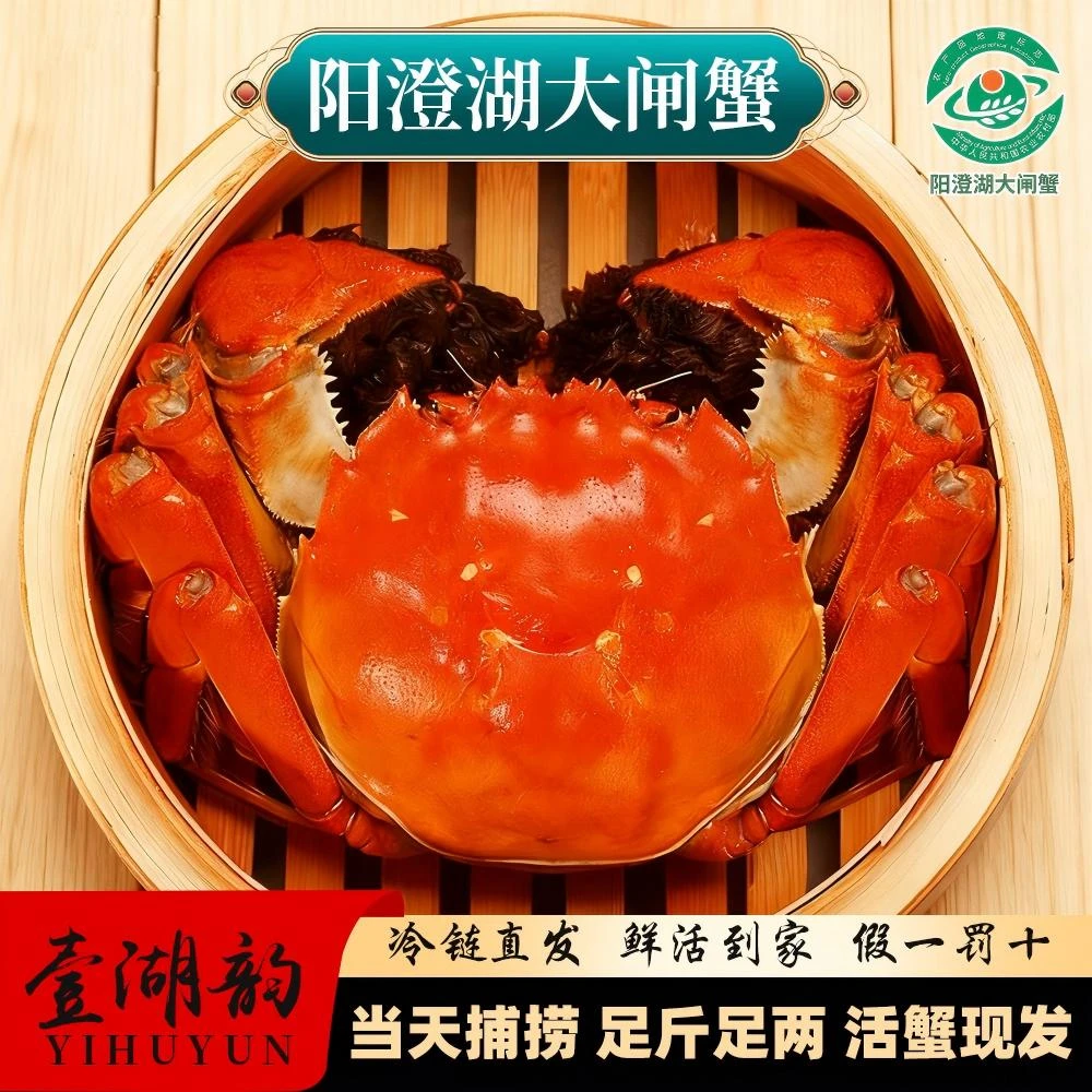 壹湖韵活蟹精品阳澄湖大闸蟹活水塘养公蟹 3.5/4/4.5/5两8/10只
