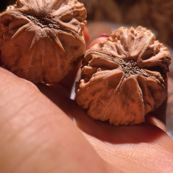 把件桃核九哥楸核115