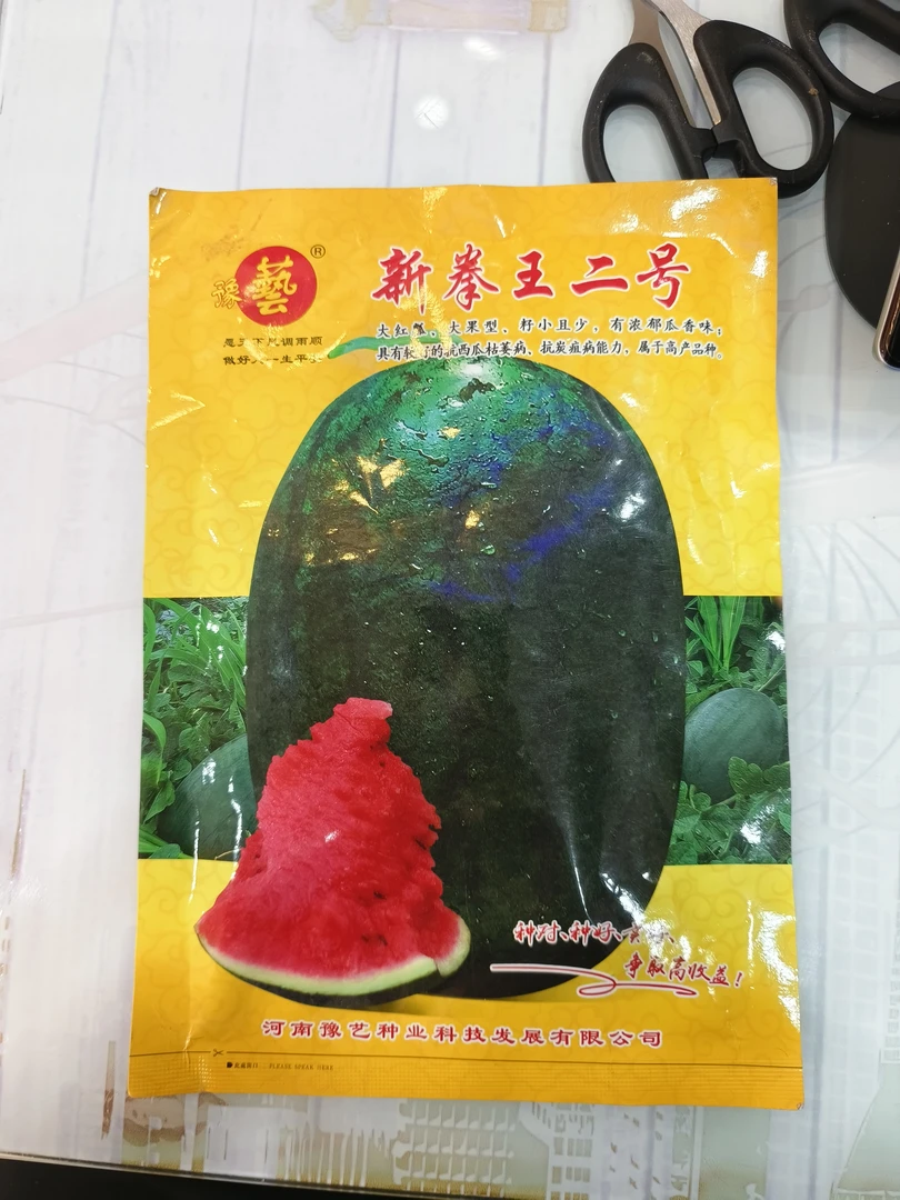 新拳王二号大果型籽小且少抗病口感好含糖量高