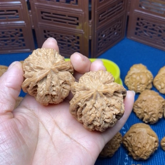 文玩核桃把件L*T46大粗