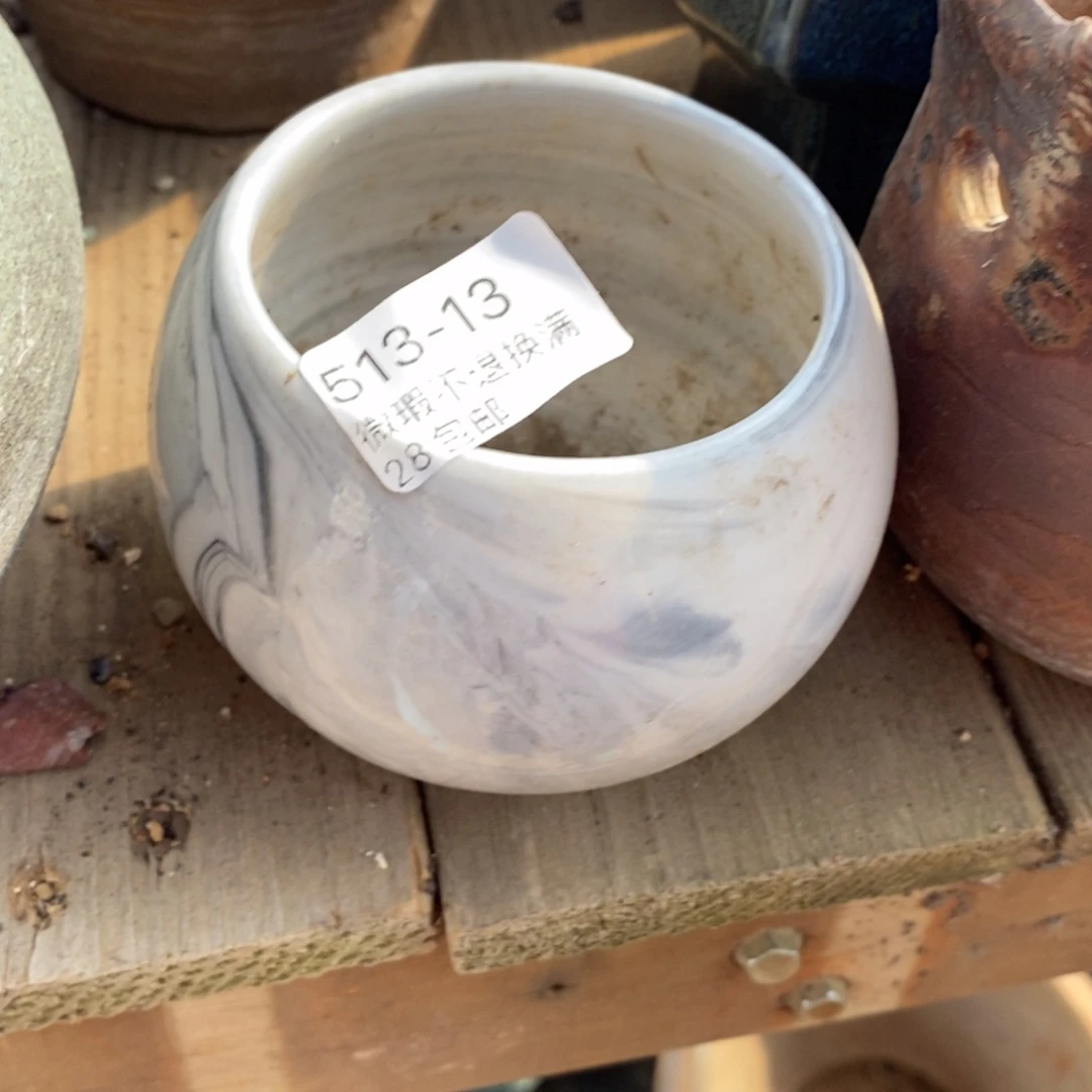 13号多肉盆小可爱