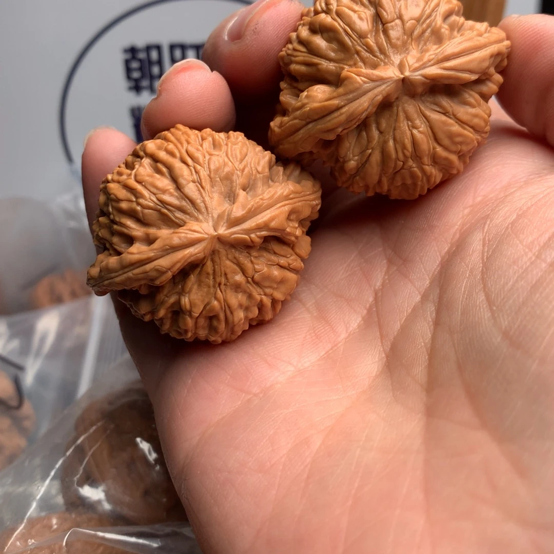 大***人白狮子40斤左右就够你