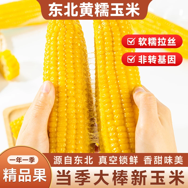 2025年新东北黄糯玉米8根真空包装新鲜现摘香粘粘苞米非即食粗粮