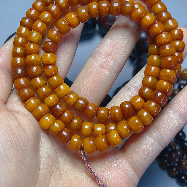 大果紫檀（缅甸花梨）