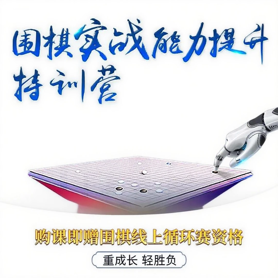 围棋实战能力提升特训营-25082902418