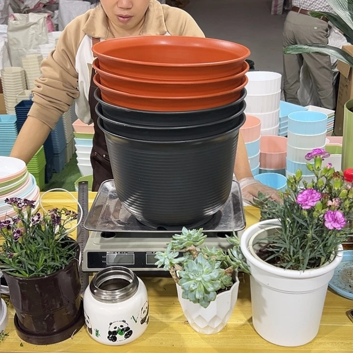 矮陶口30高30混色无托6只