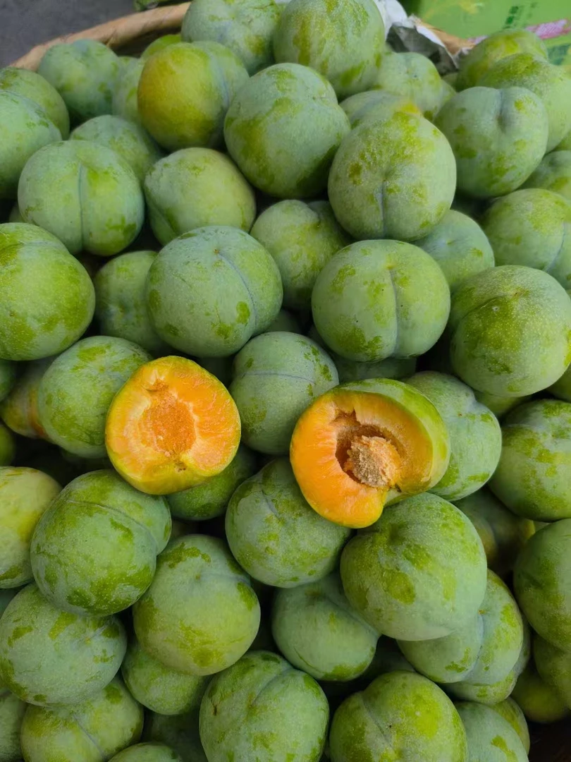 巫山空心李当季新鲜水果产地现摘