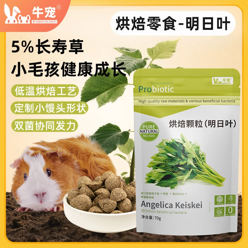 兔子零食专用明日叶磨牙饼提摩西草烘焙零食荷兰猪龙猫兔子