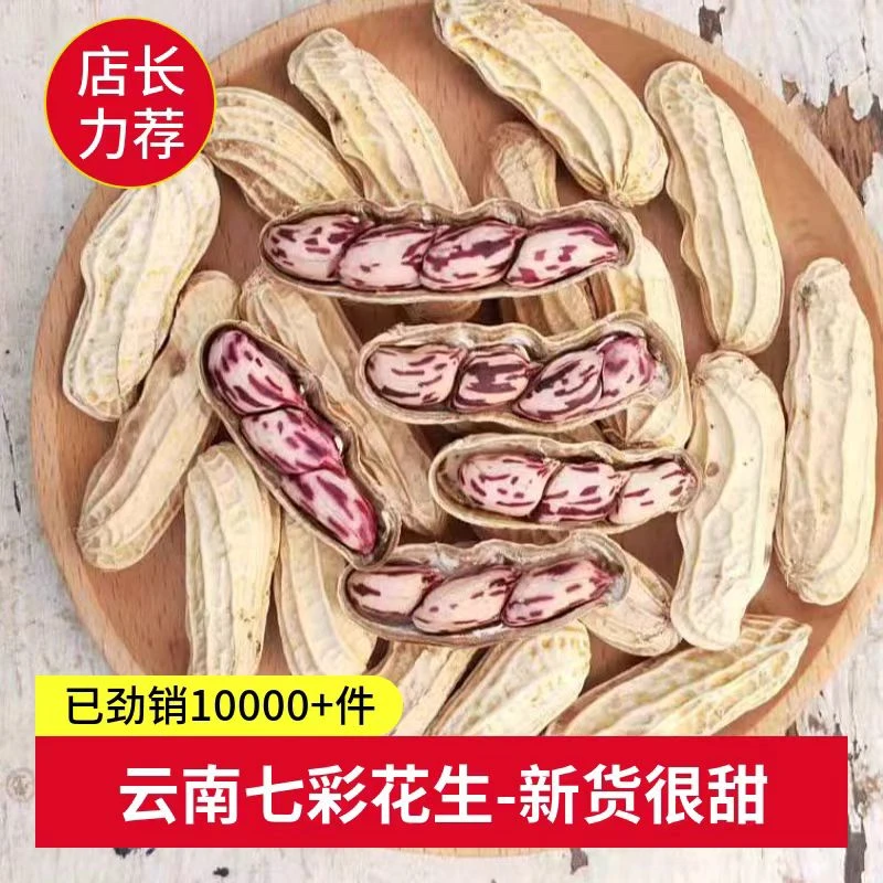 正宗云南七彩花生自然晒干带壳生花生云南特产水果花生