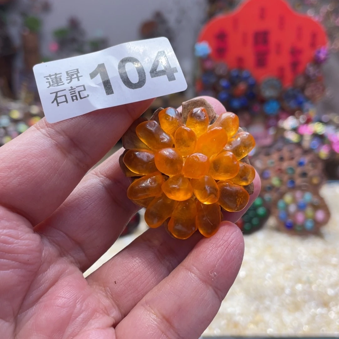 核桃木/黑胡桃（胡桃木）W***.104