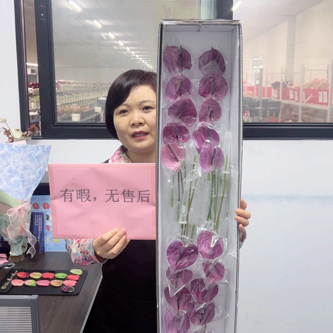 完全开放马拉维利亚-20枝装无售后款