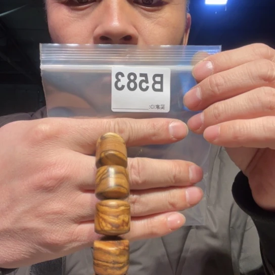 大叶紫檀（黑酸枝木类）583