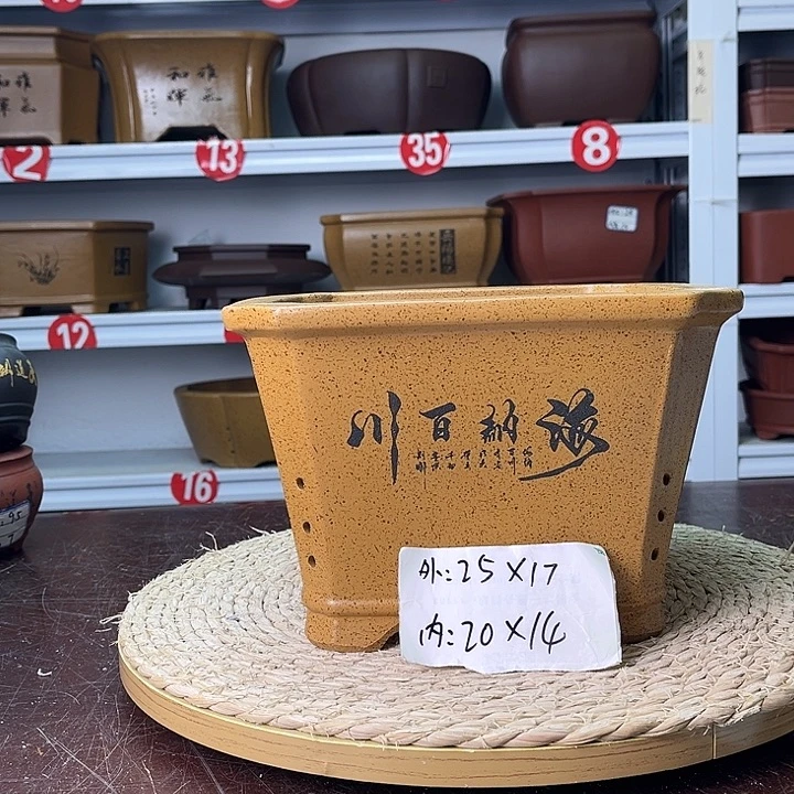 花盆紫砂你在一起