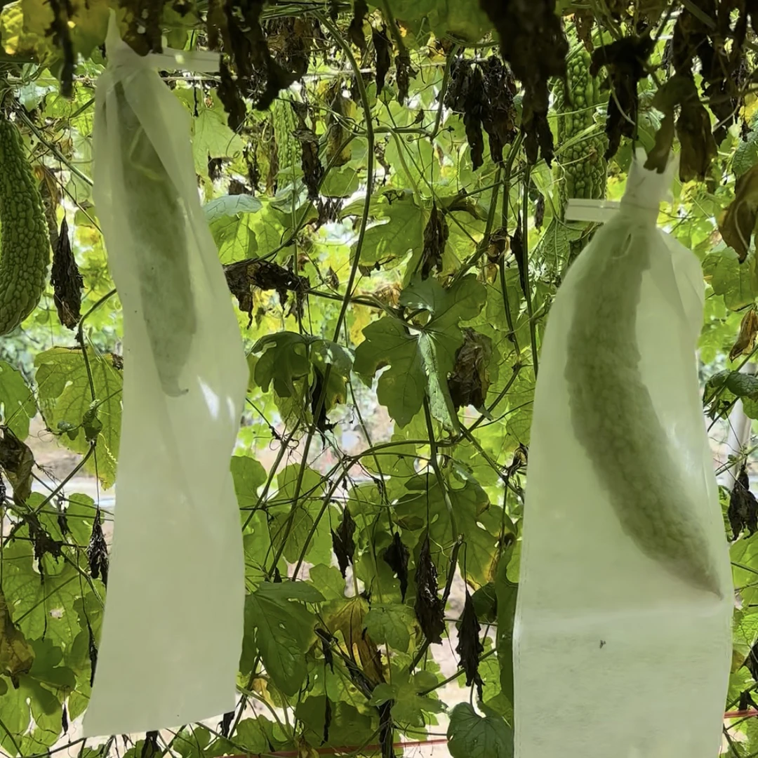 苦瓜丝瓜无纺布套袋瓜果防虫专用袋水果套袋露天果子保护袋批发