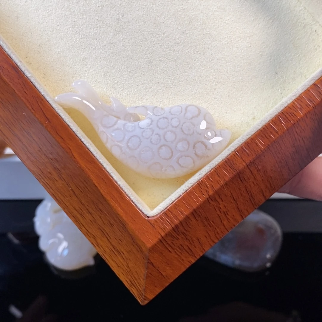 硅化珊瑚（珊瑚玉）未镶嵌颈饰200