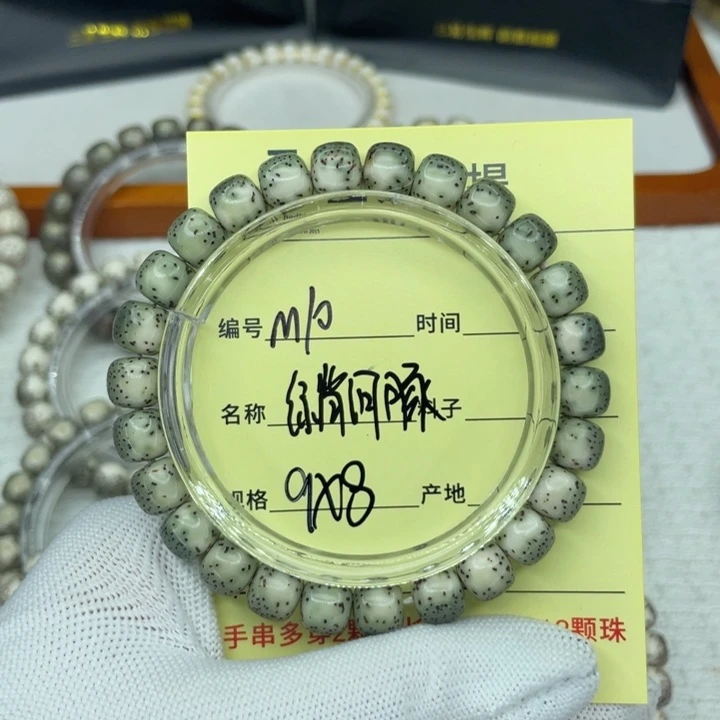 菩提籽类绿背河豚。