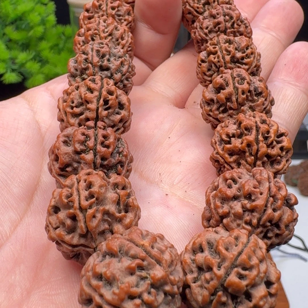 金刚菩提手串安娜老籽蜂窝双龙