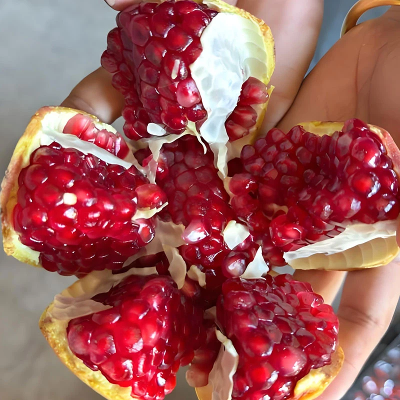 四川会理突尼斯软籽石榴整箱应季新鲜甜石榴非番石榴无籽石榴