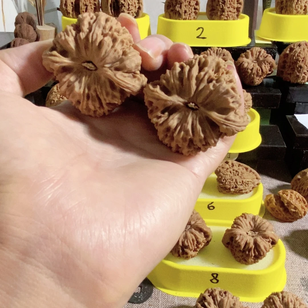 木质类46加56克凹三角同重