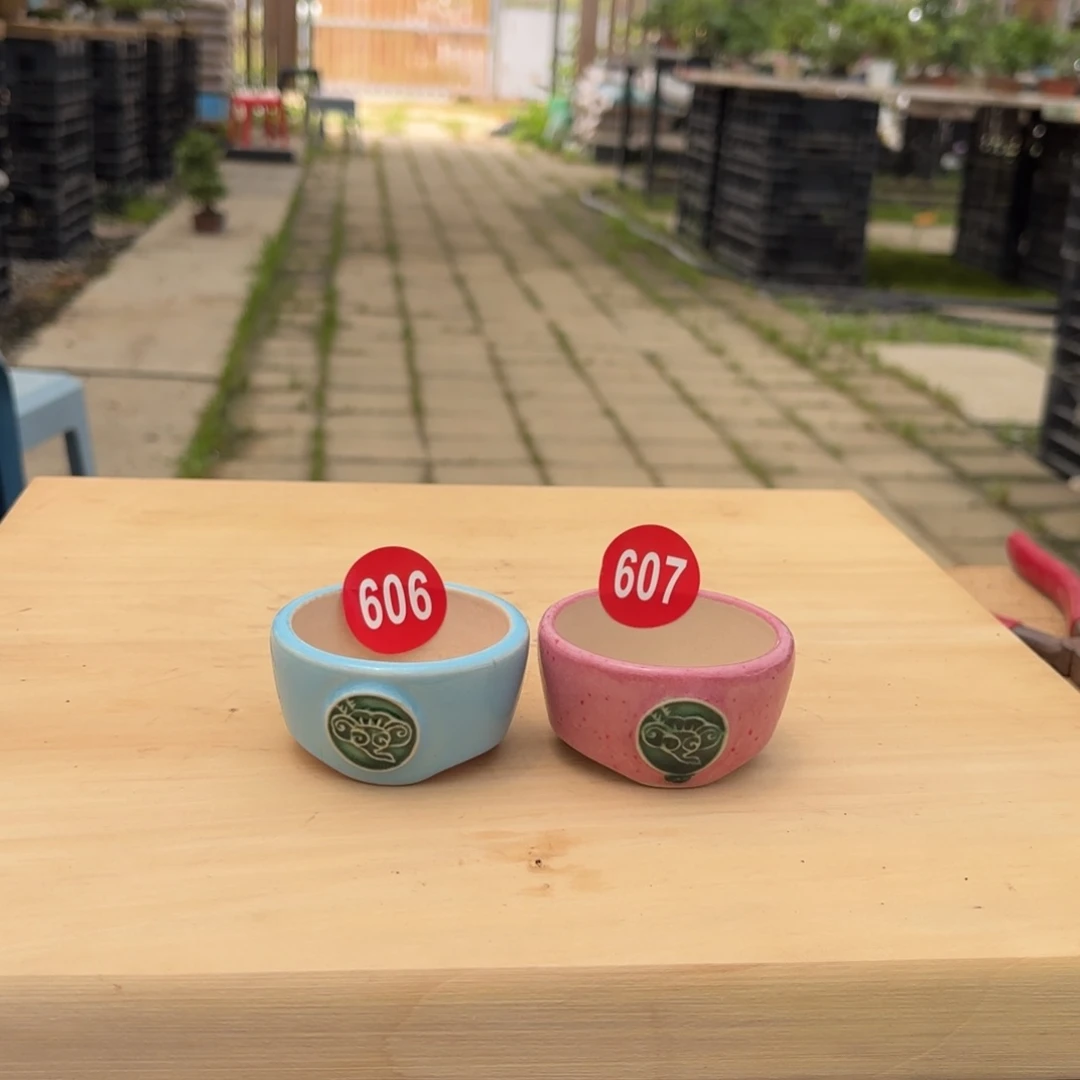 隔***叔大棚转让606607