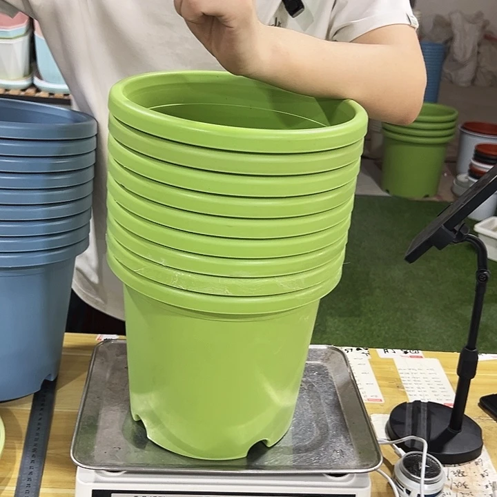 微瑕4号四季口25高21.5果绿无托9只