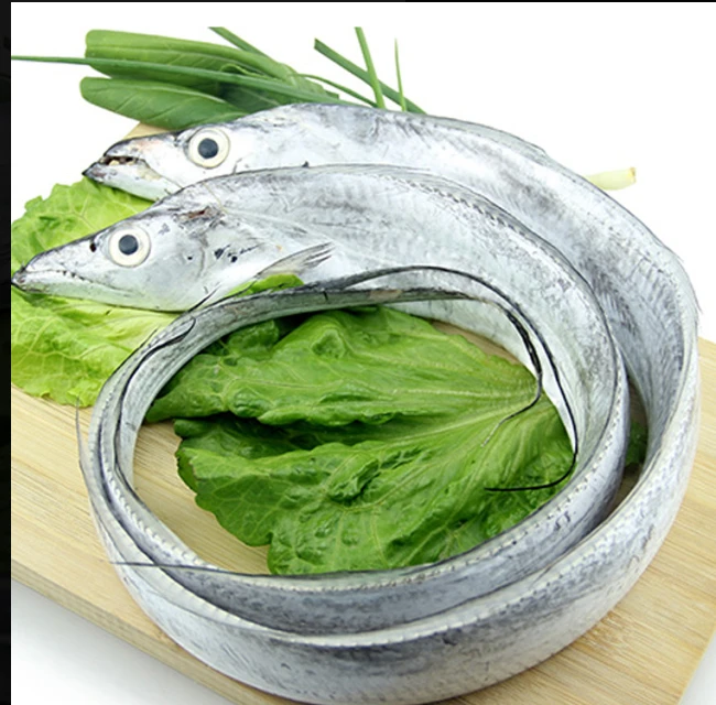 现称野生带鱼（以直播间为准）