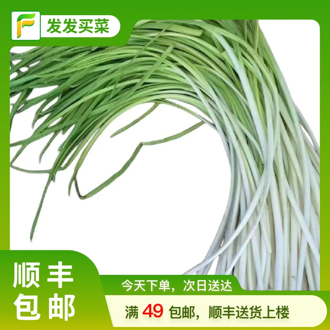 北京直发鲜蒜苗约150g±5g/份蔬菜蒜苗