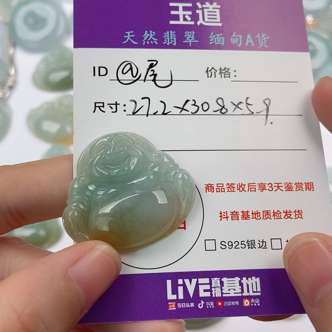 颈饰未镶嵌翡翠©️****翡翠
