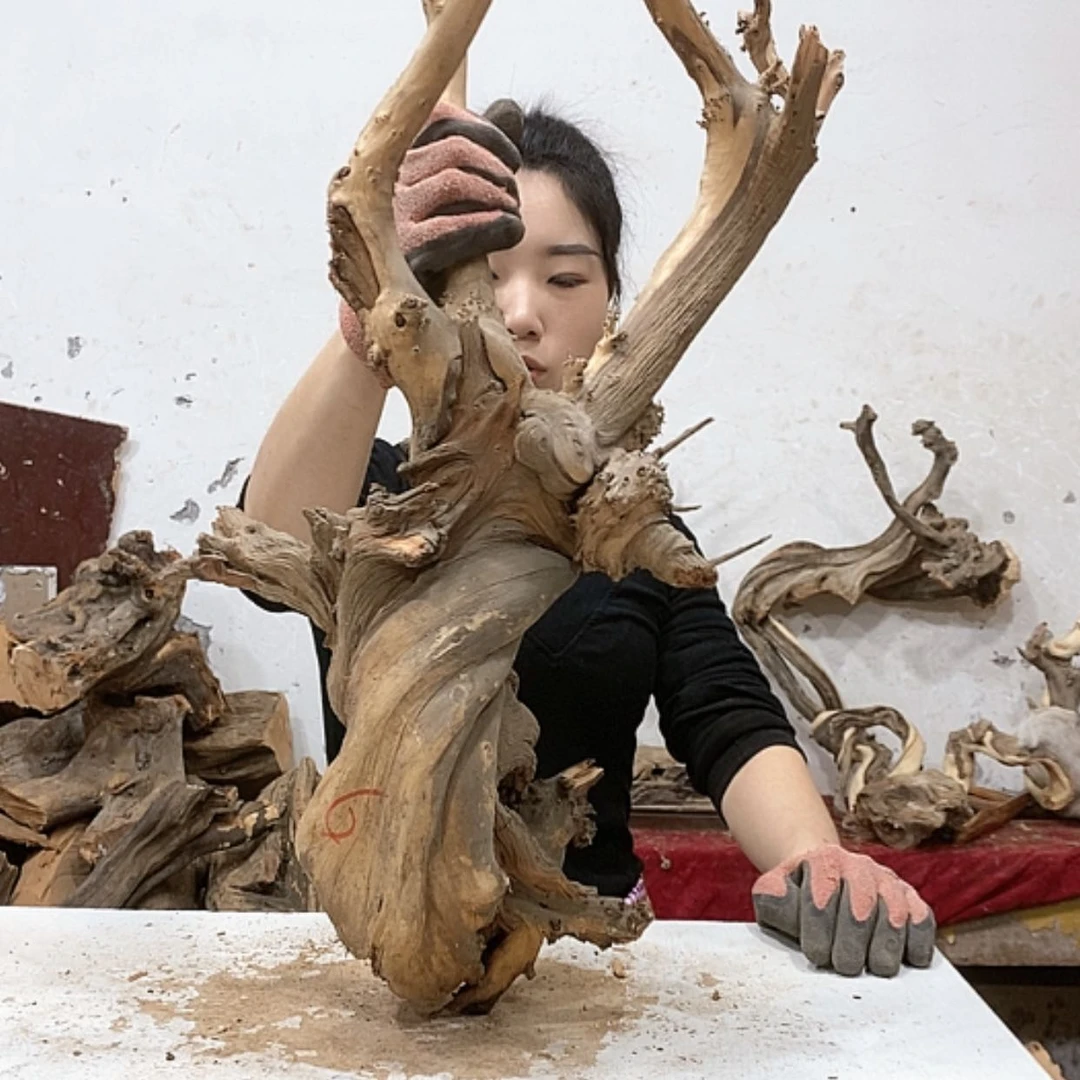 【闪购商品】柏木悦**尖我们都是好孩子