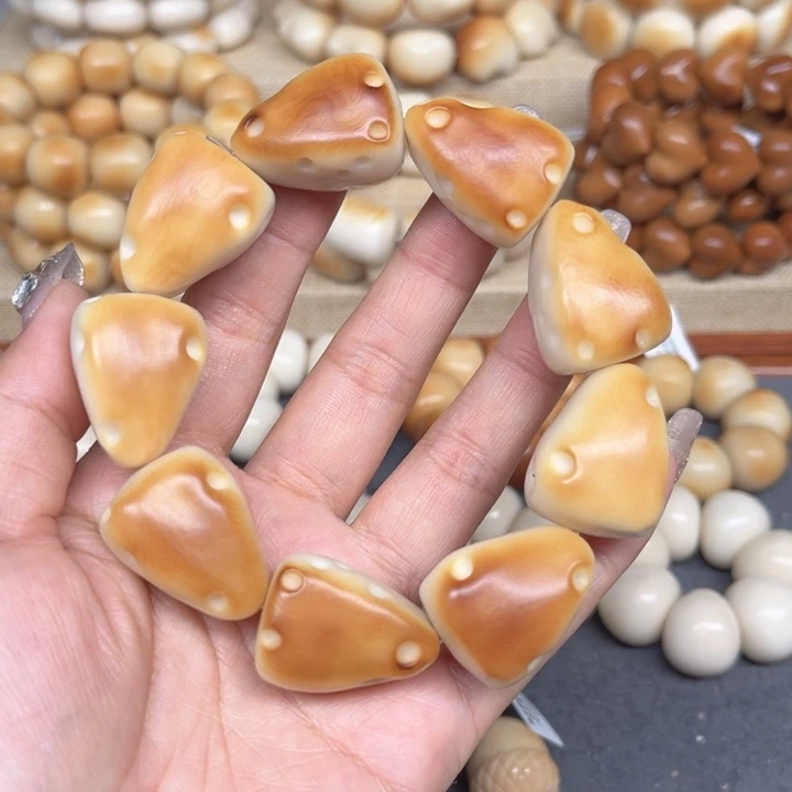 菩提根/象牙果手串3.9.13奶酪