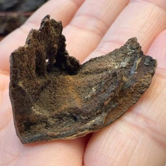 沉香摆件海南野生沉水包壳1.39克