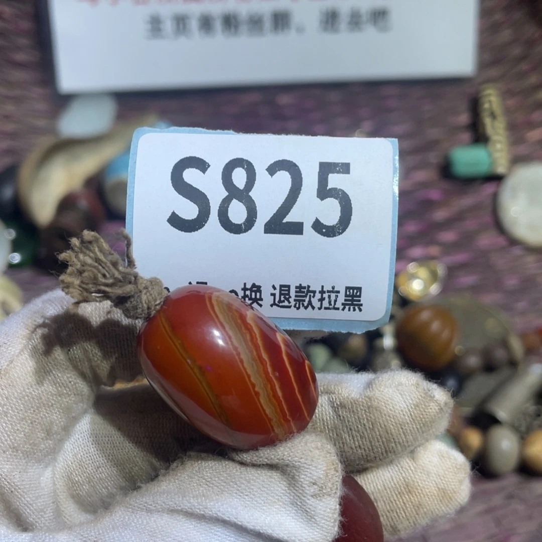 瓷片领*火爆热卖火爆热卖