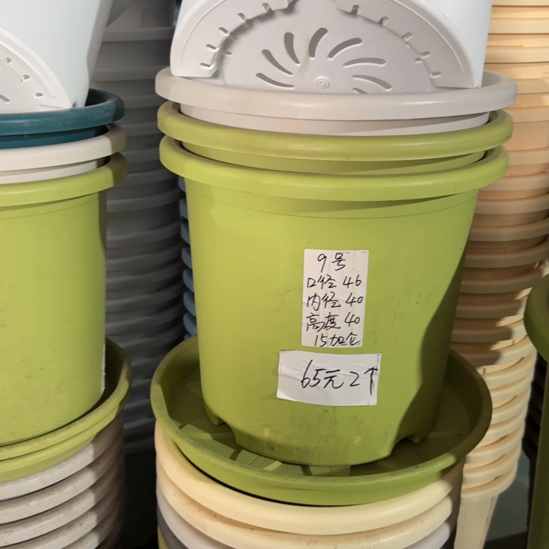 微瑕9#口径46无拖果绿3个