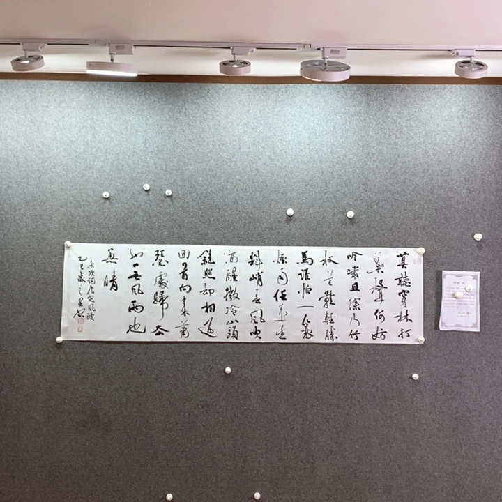 书法书法作品多次参加全国