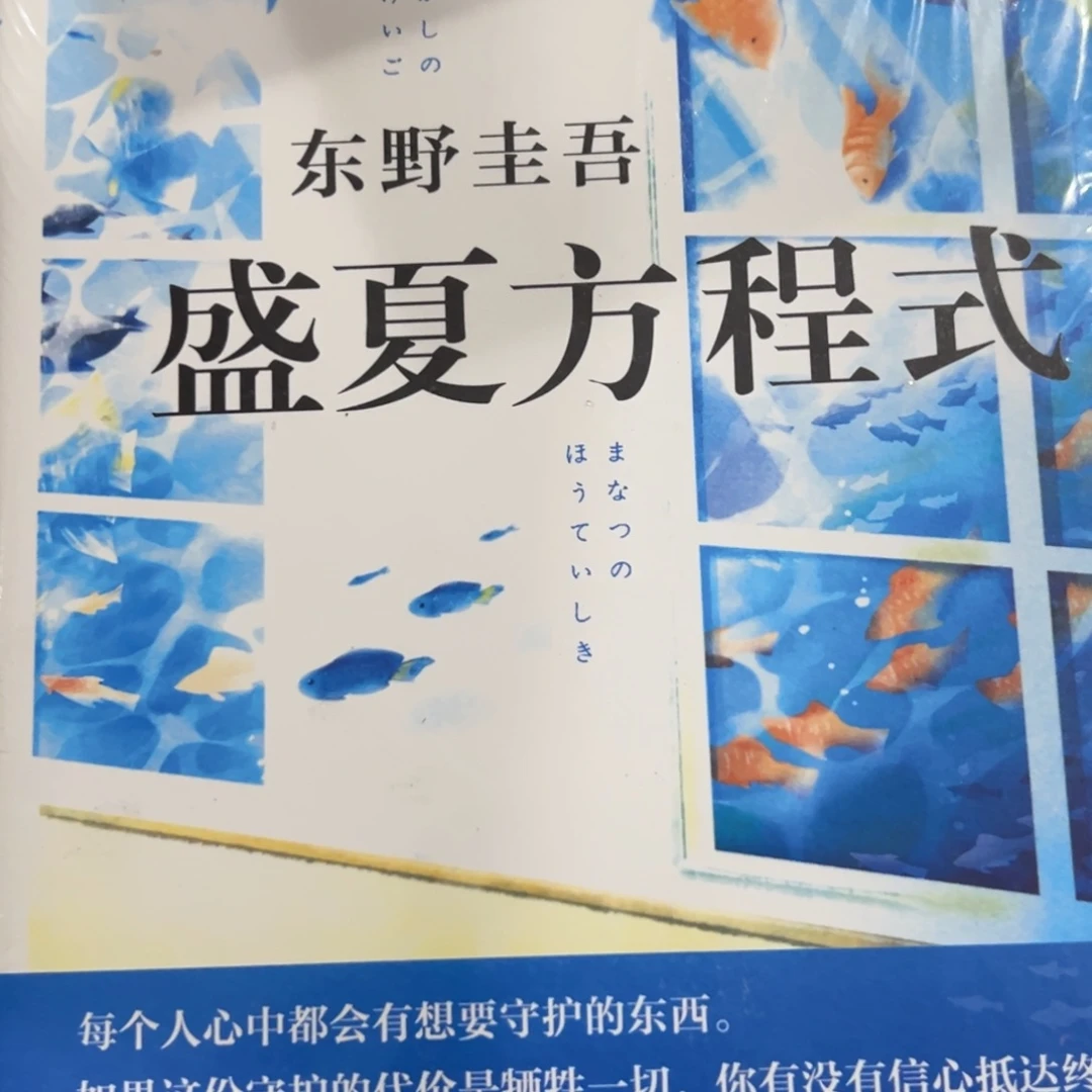 盛夏方程式九米一个