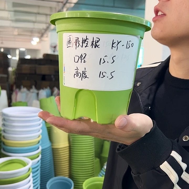 正品圆控口15高15果绿无托10只