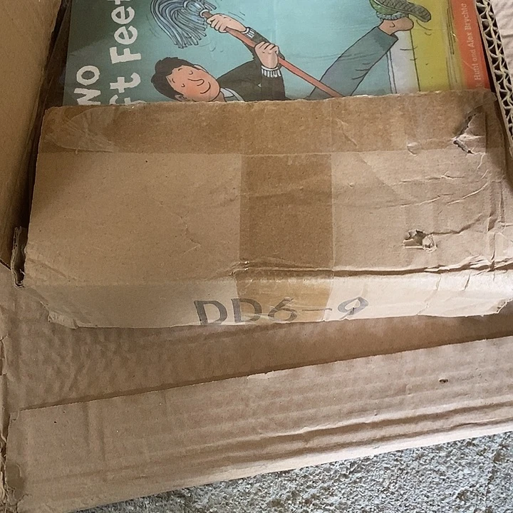 DD6-9英语分级阅读拓展手册