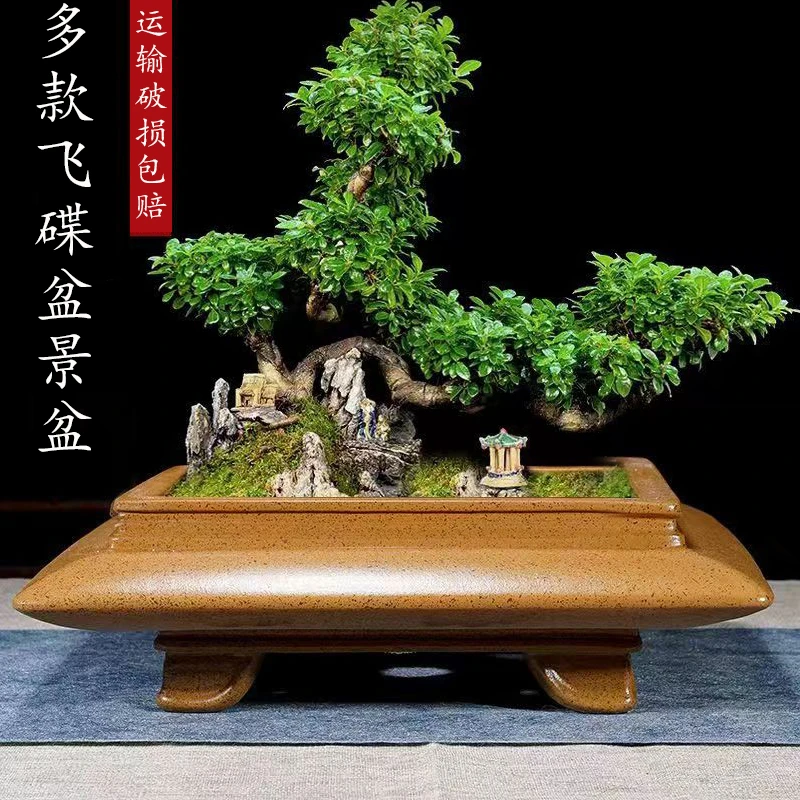宜兴紫砂花盆长方圆盆四方飞碟盆景简约榕树老桩松丛林盆艺金弹子