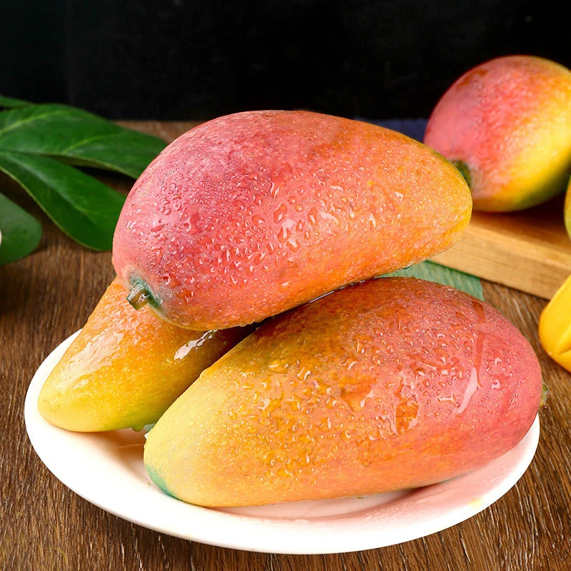 【屈橙鲜】广西贵妃芒果5斤装 单果150g起