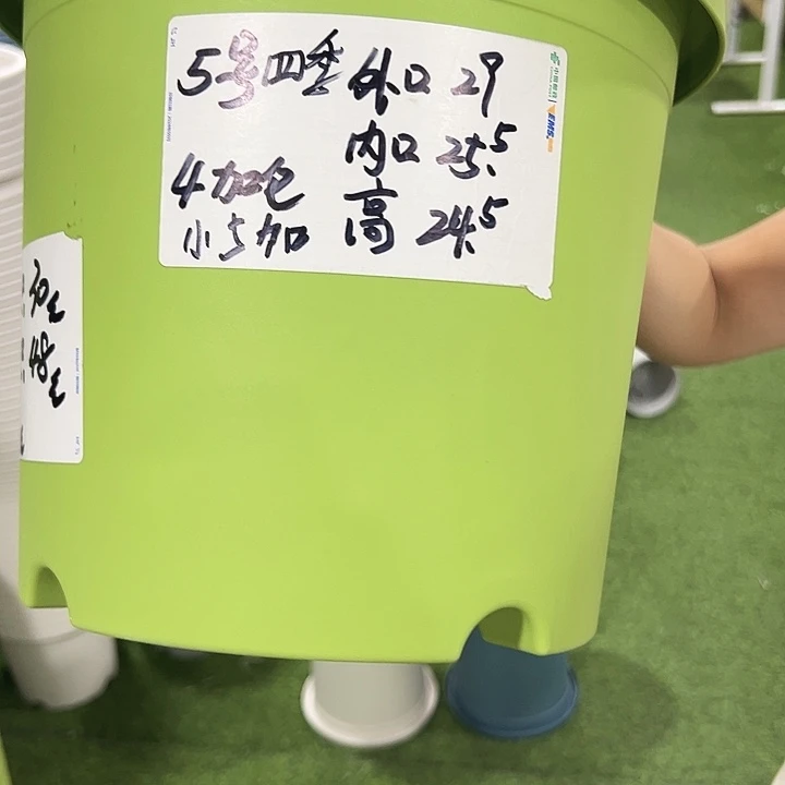 特价5号四季口29高24.5果绿六只无托