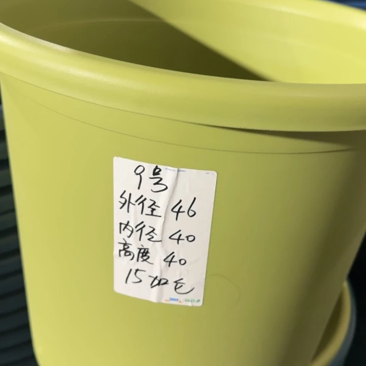 微瑕9号无托果绿4个