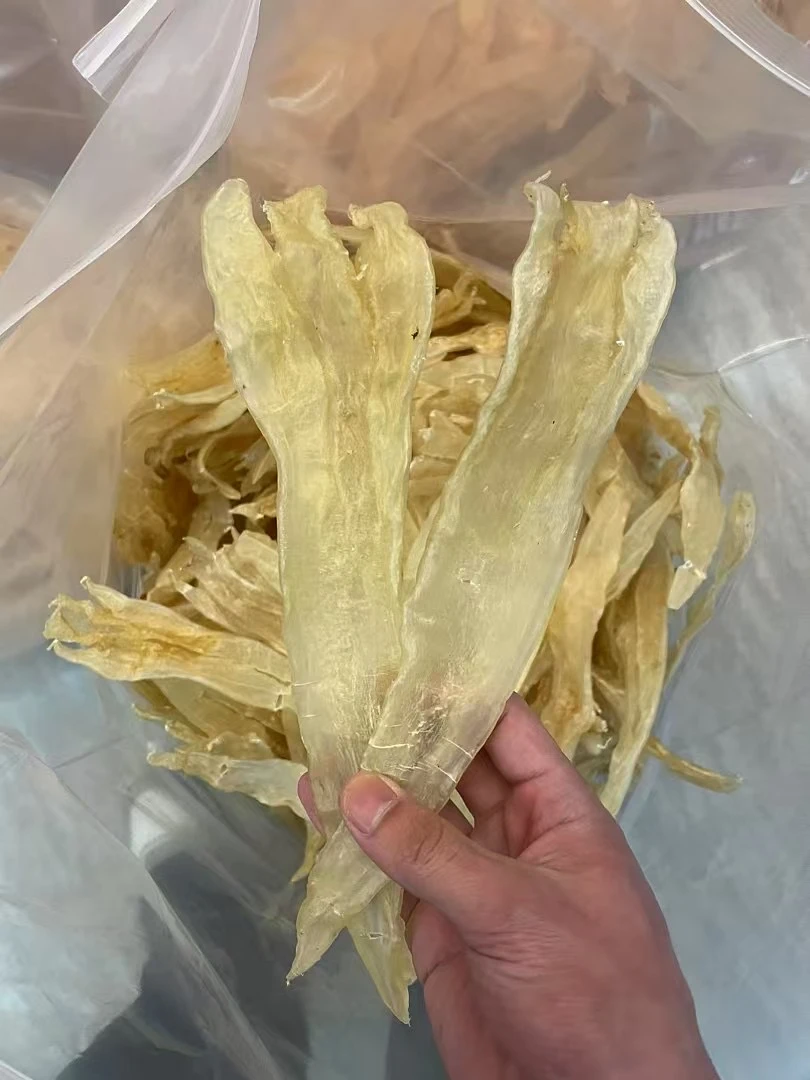 【联兴港】正宗10头北海阴阳胶鱼胶花胶