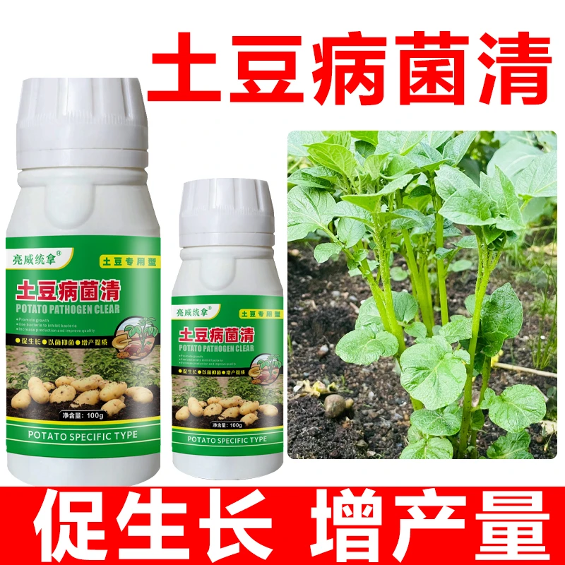 亮威土豆病菌清抗菌高产使用叶斑黄叶增产调节生根壮苗有机肥料
